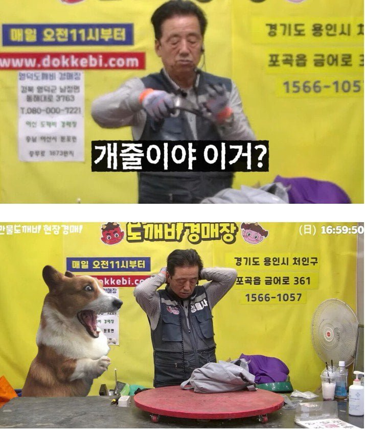 달팽이게임픽분석