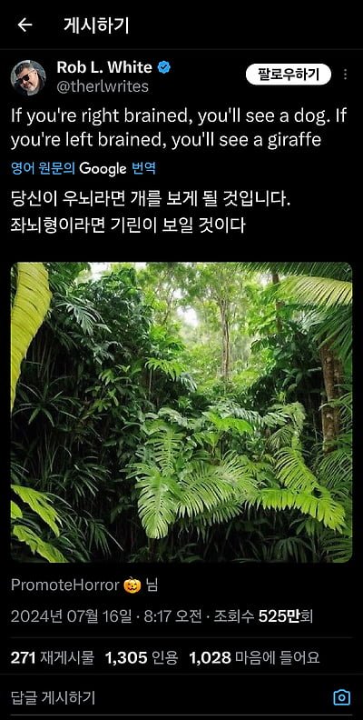 달팽이게임통계