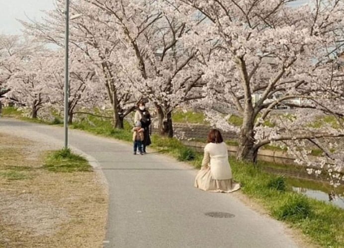 파워볼 분석과 실시간패턴통계