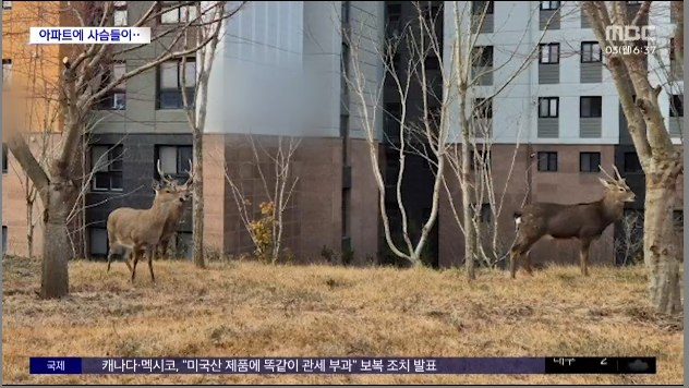 달팽이 분석과 실시간패턴통계