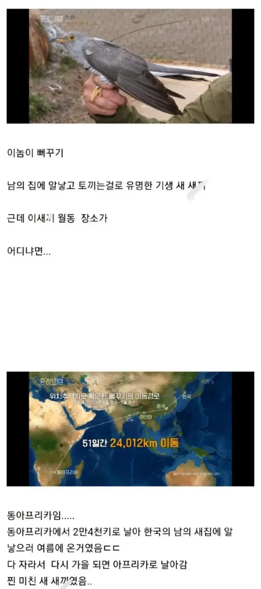 파워볼게임