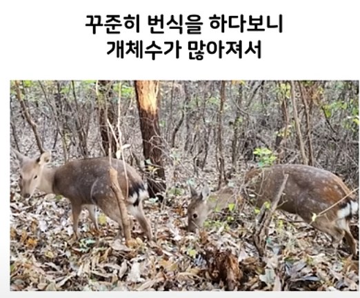 달팽이 분석과 실시간패턴통계