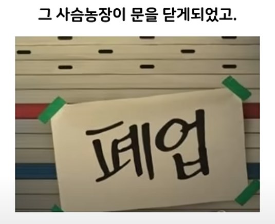 나눔로또 파워볼분석기