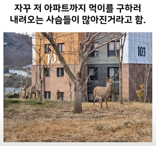 실시간사다리