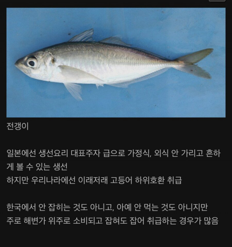 달팽이게임픽분석