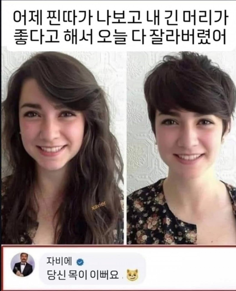 다리다리 분석과 실시간패턴통계