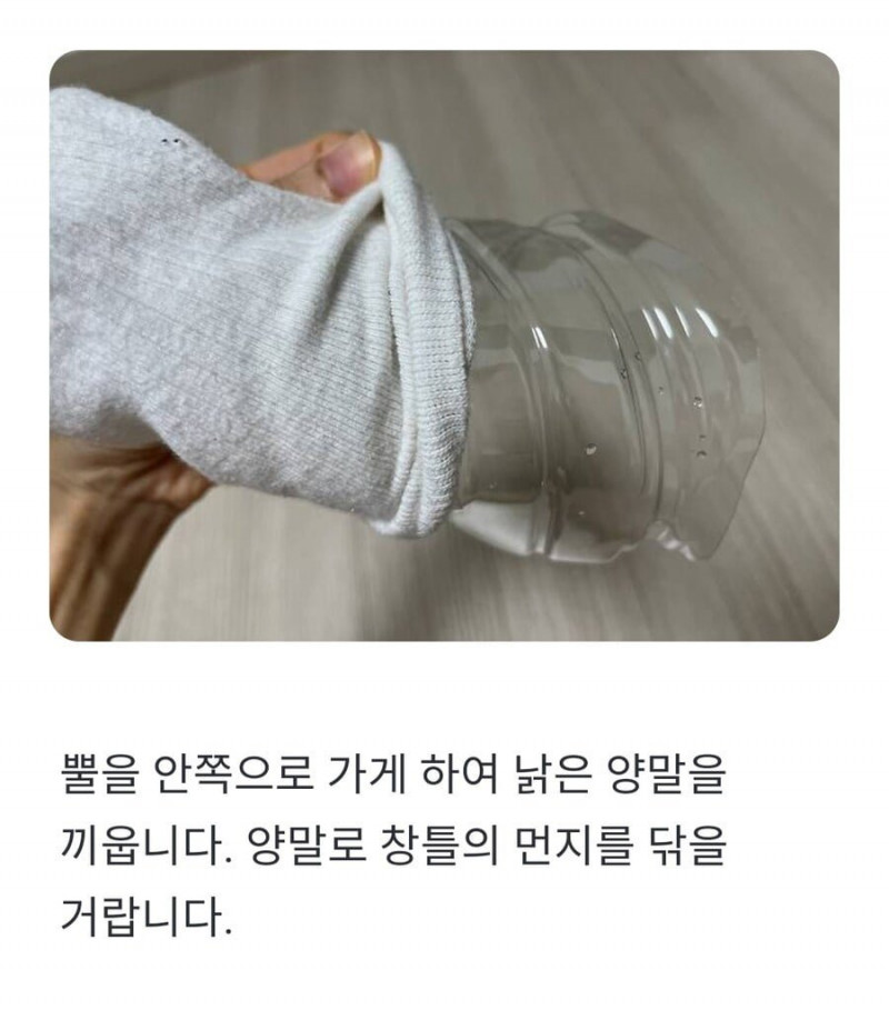 사다리게임