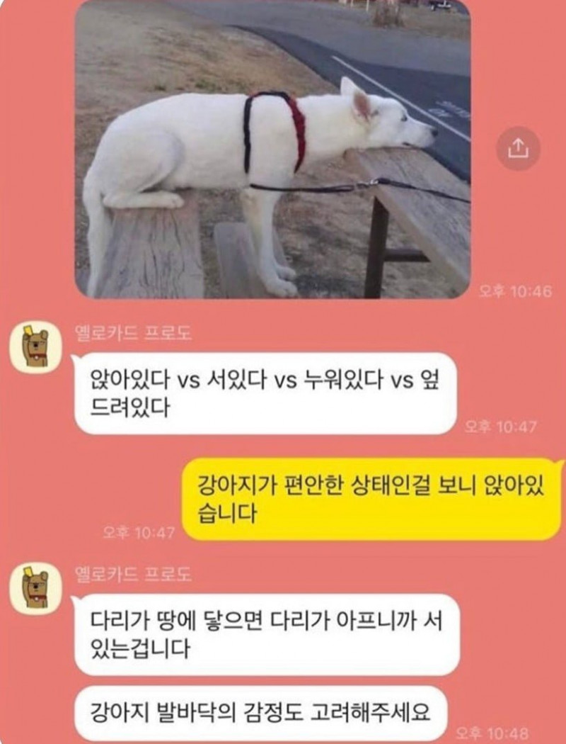 달팽이 분석과 실시간패턴통계