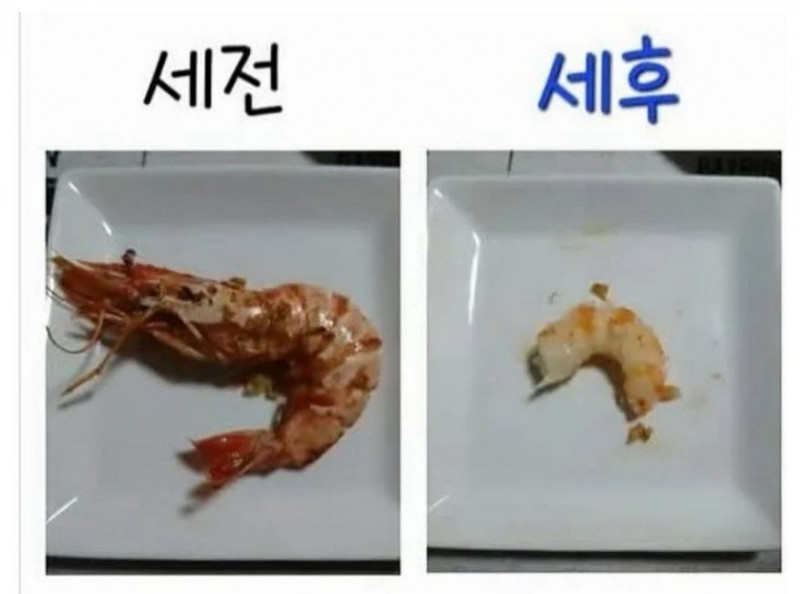 파워볼