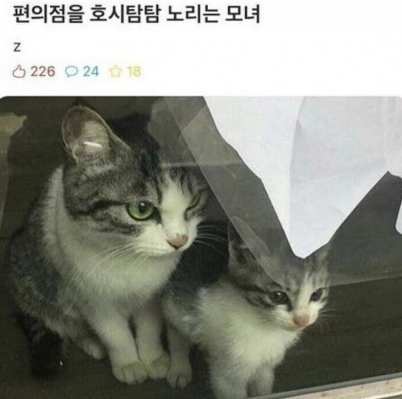 나눔로또