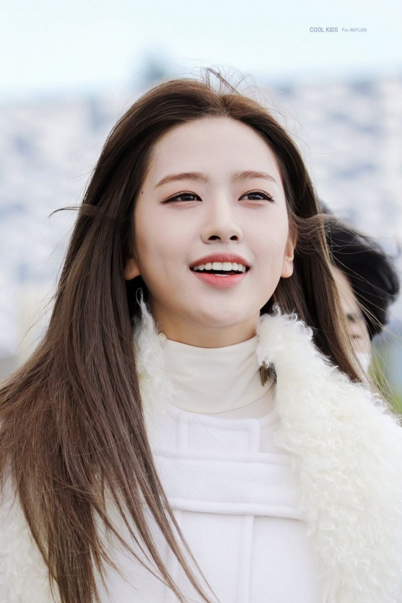 파워볼 분석과 실시간패턴통계