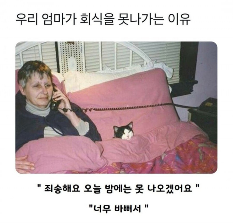 파워볼게임픽게임