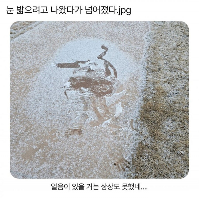 달팽이게임분석