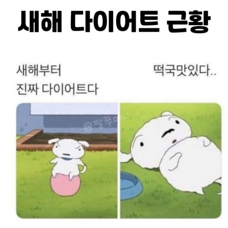 달팽이게임픽