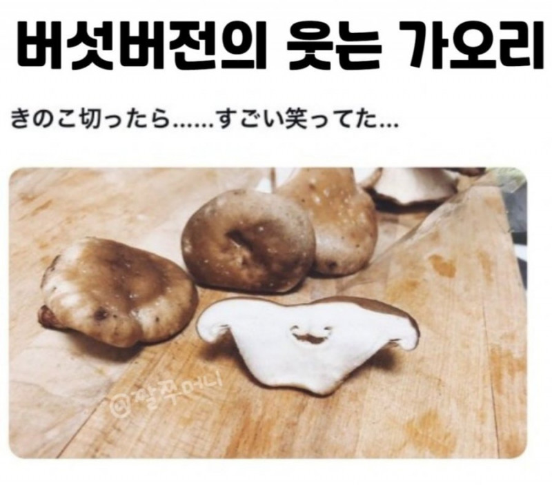 실시간달팽이