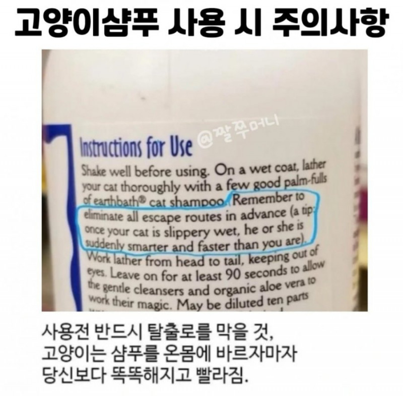 실시간사다리