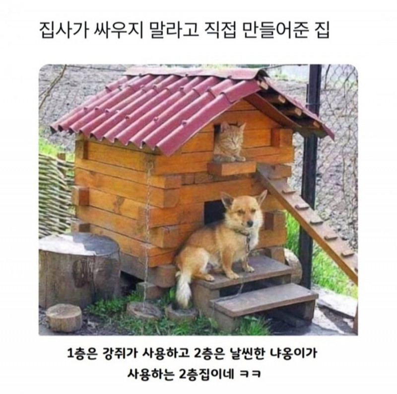 실시간게임