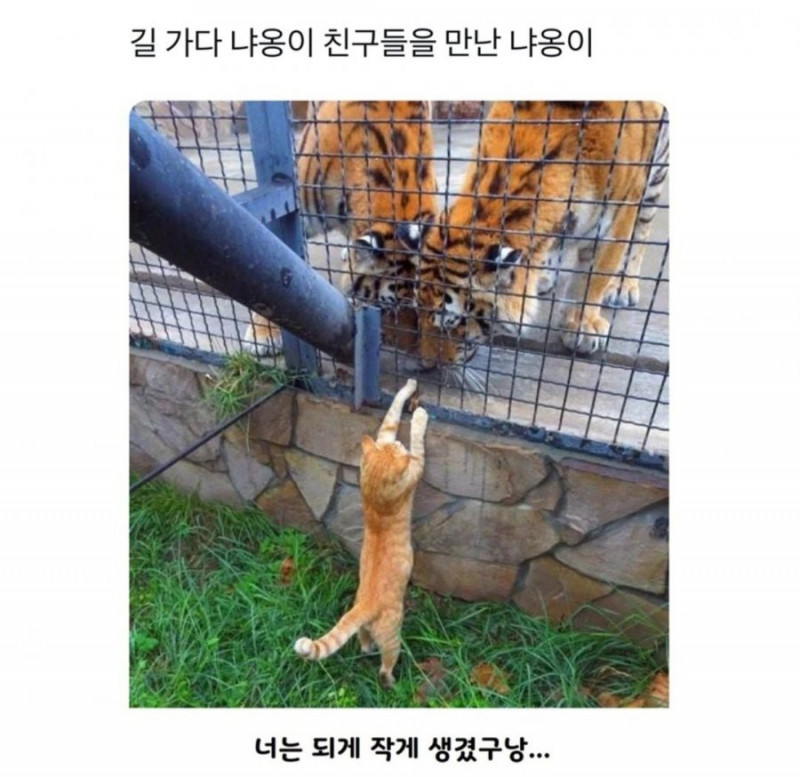 파워볼필승