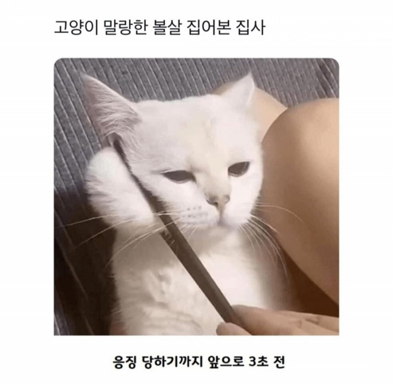 파워볼필승