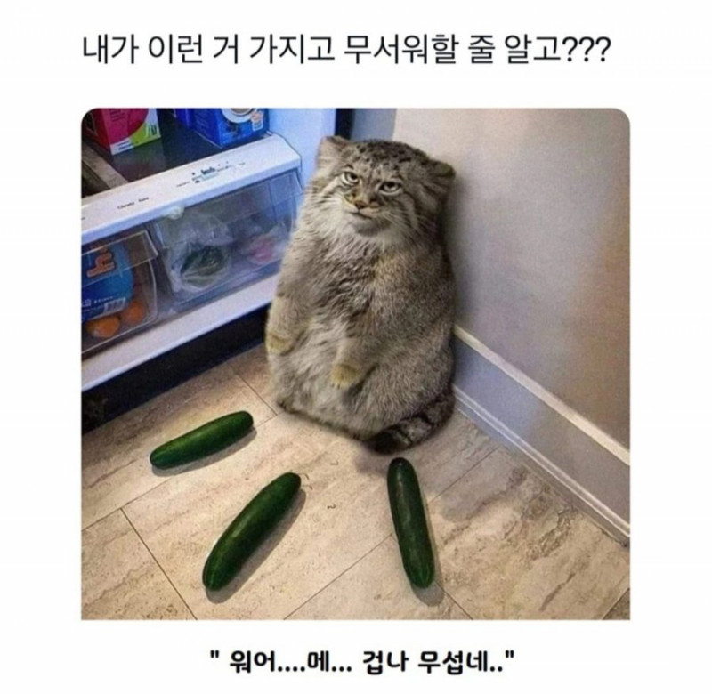 사다리게임픽