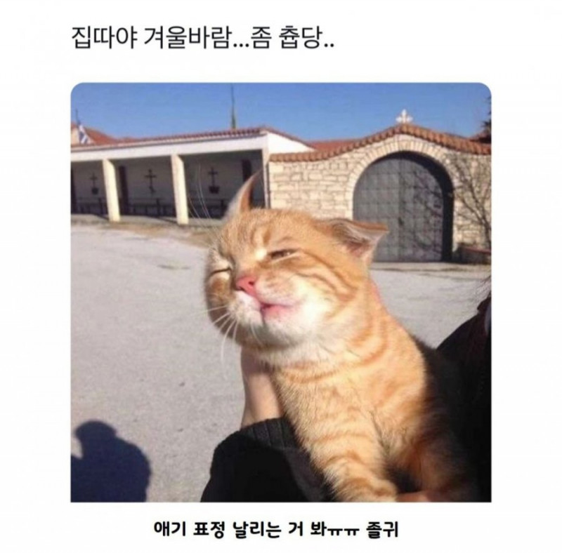 파워볼게임분석기