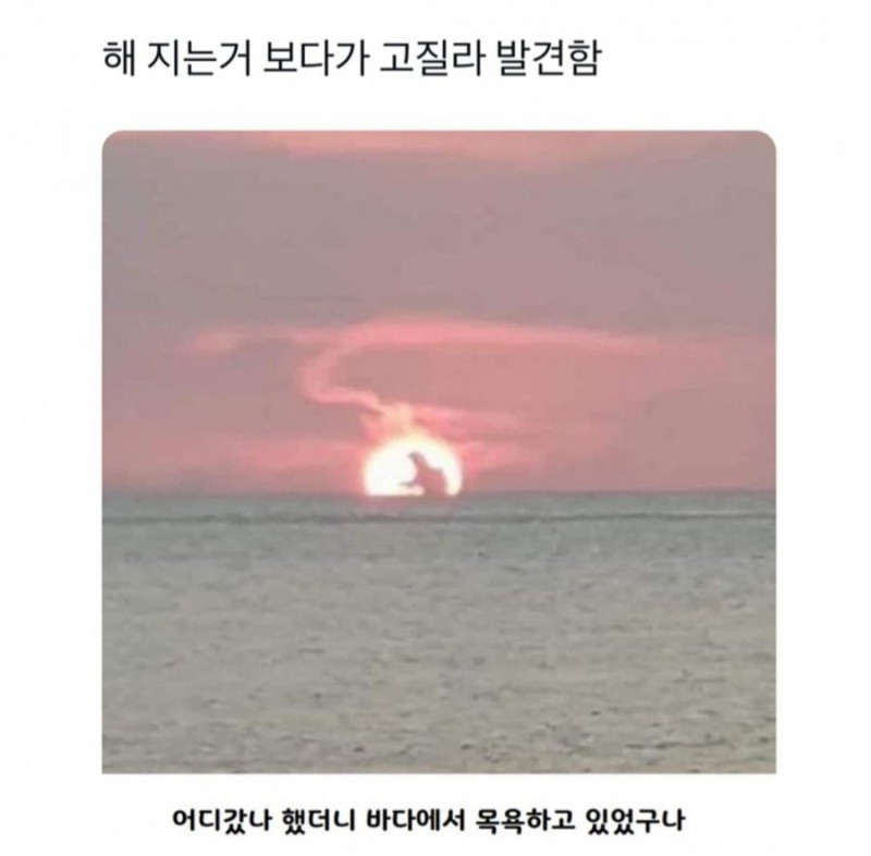 성인게임