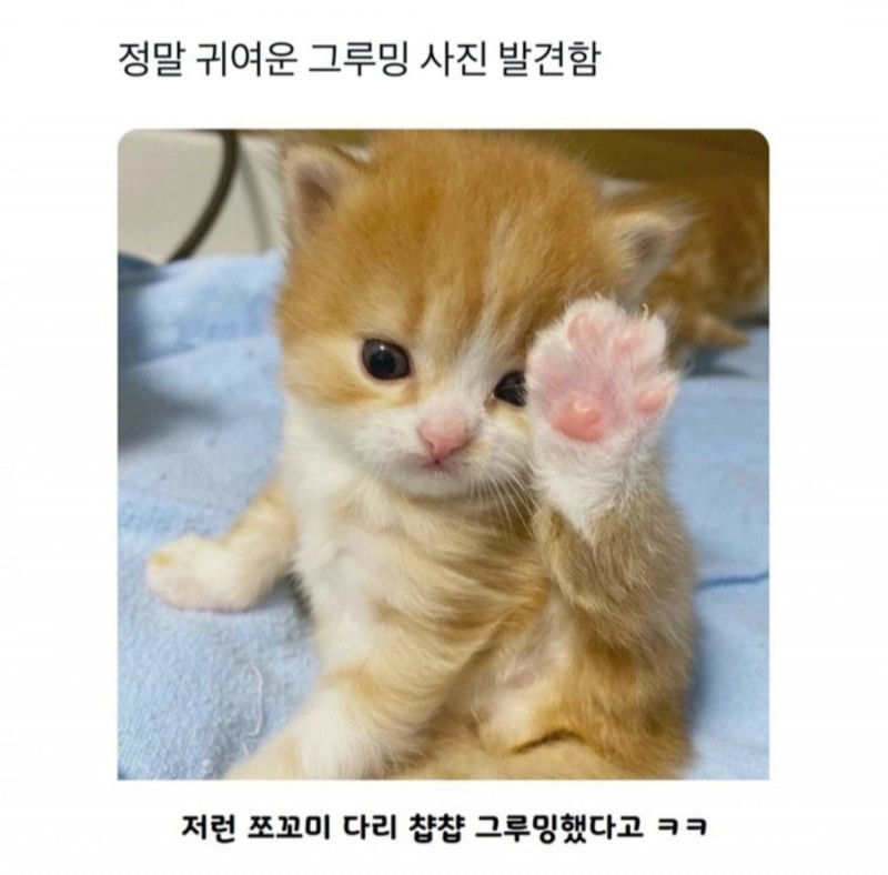 파워볼게임분석기