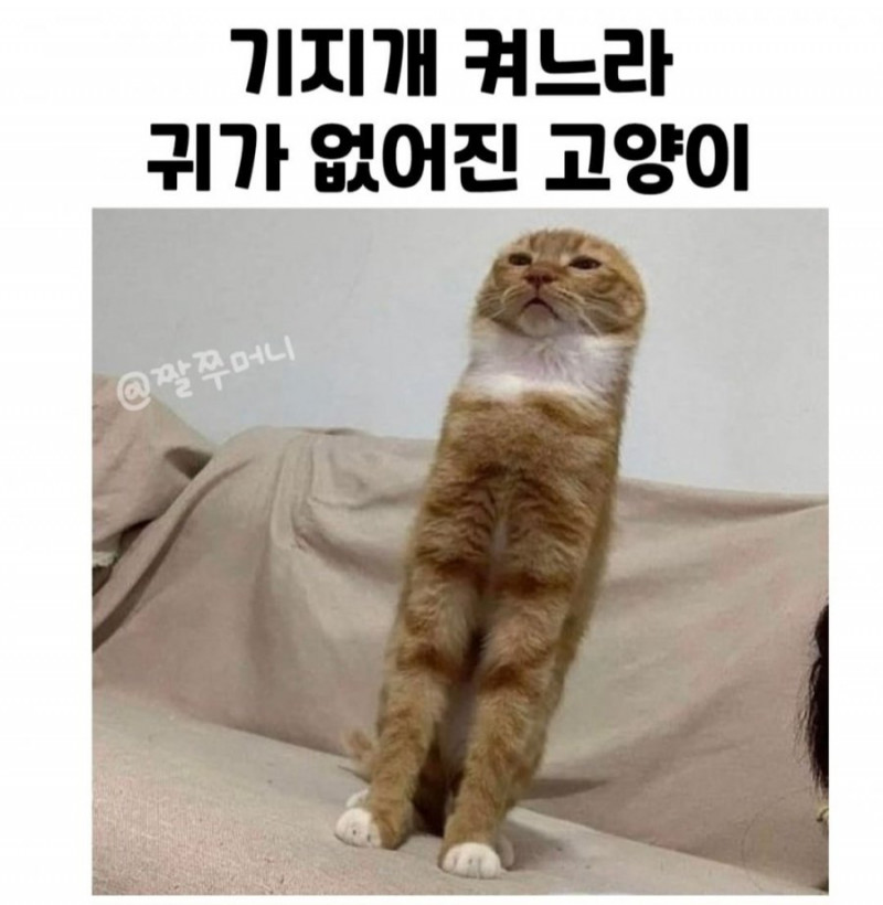 통축