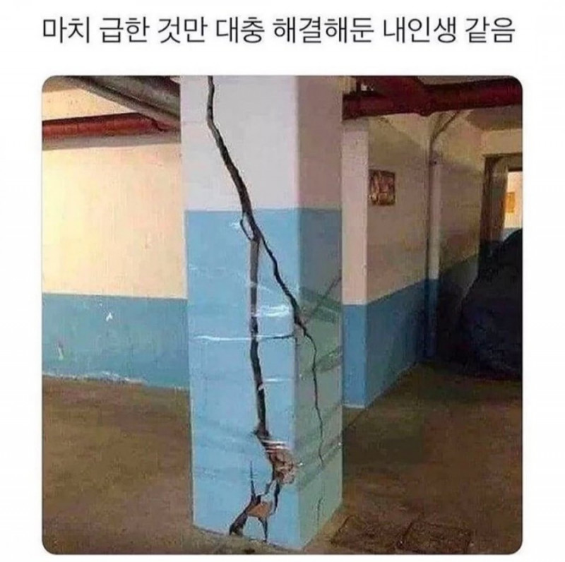 사다리 분석과 실시간패턴통계