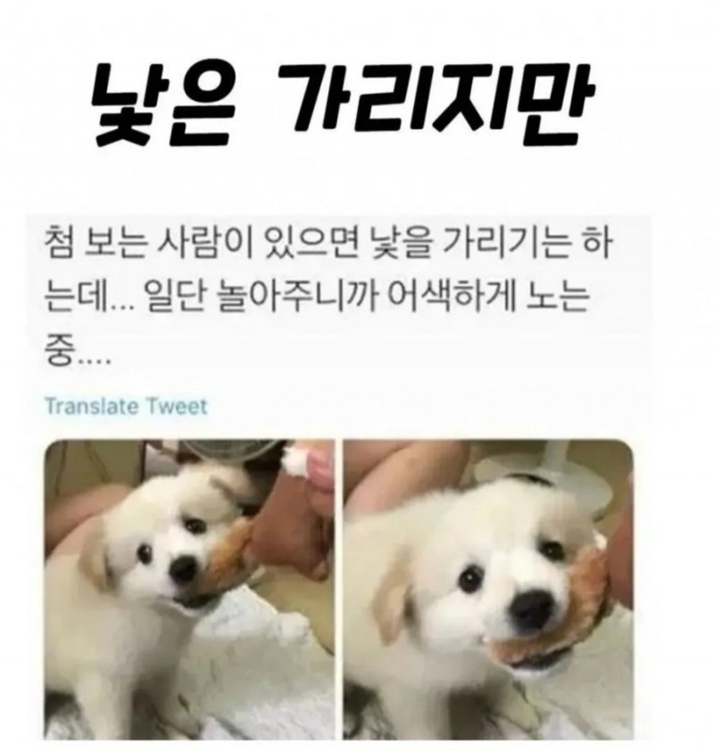 파워볼게임픽게임