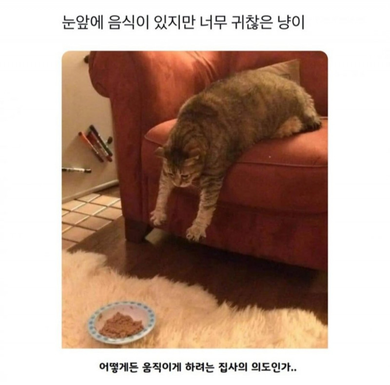 실시간게임