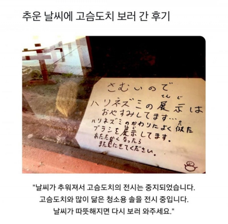 사다리게임픽게임