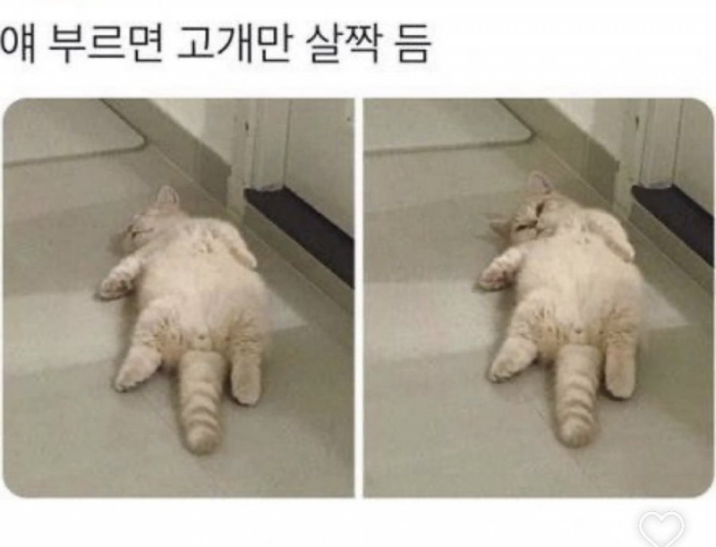 달팽이게임