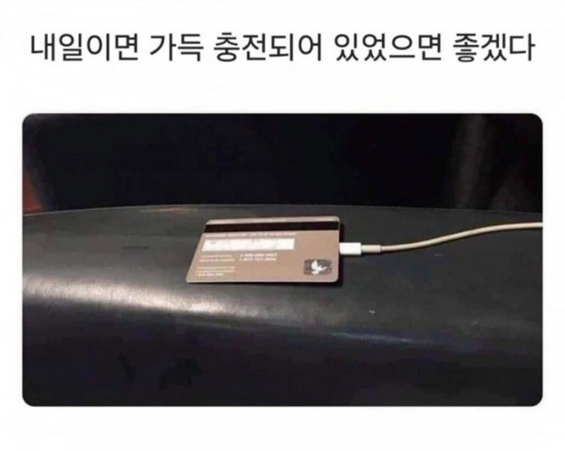 달팽이게임픽분석