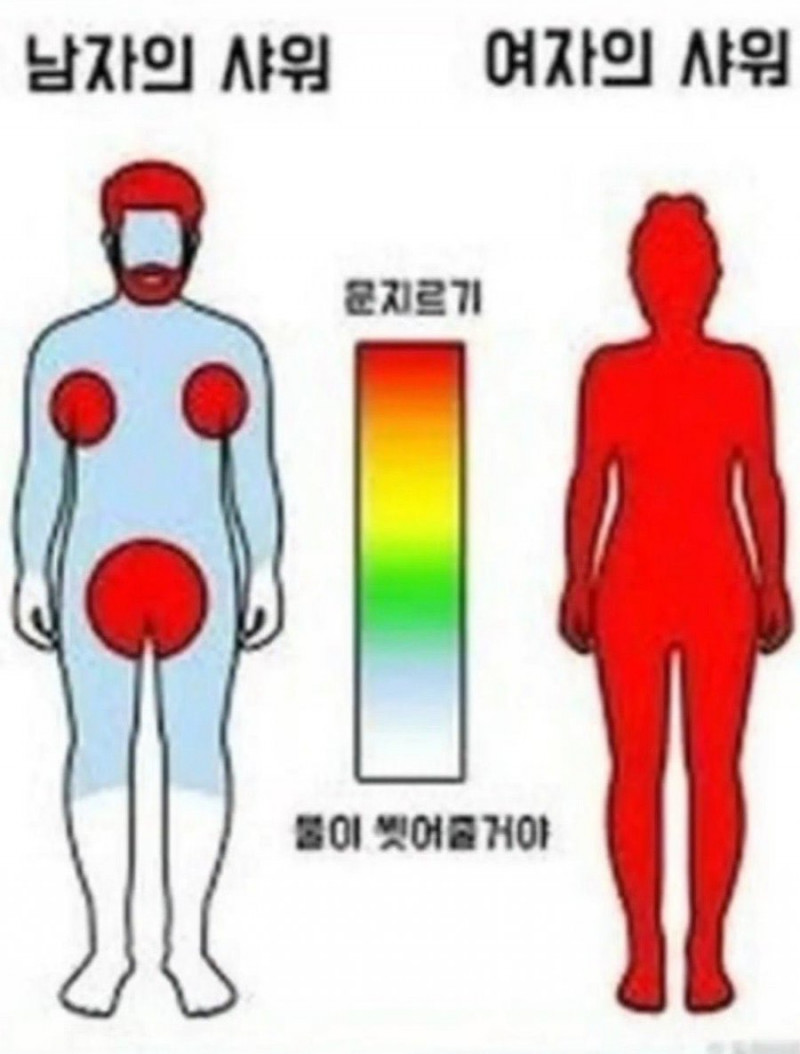 파워볼 분석과 실시간패턴통계