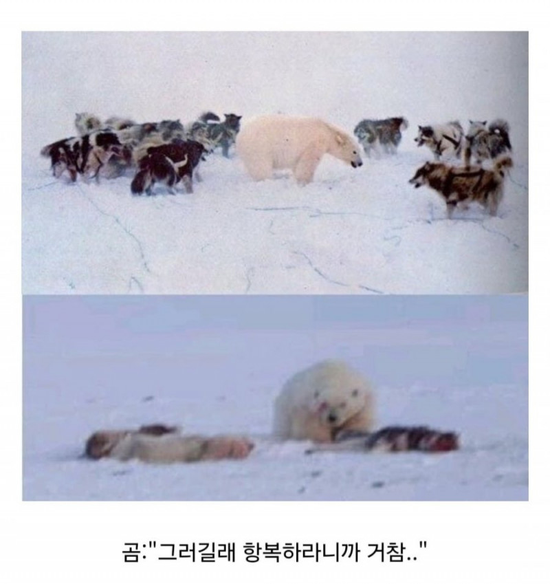 파워볼