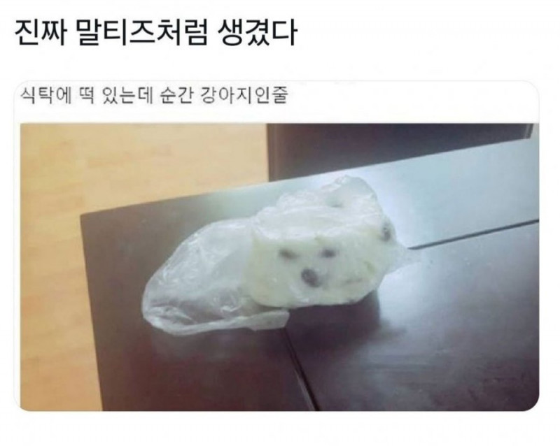 달팽이 분석과 실시간패턴통계