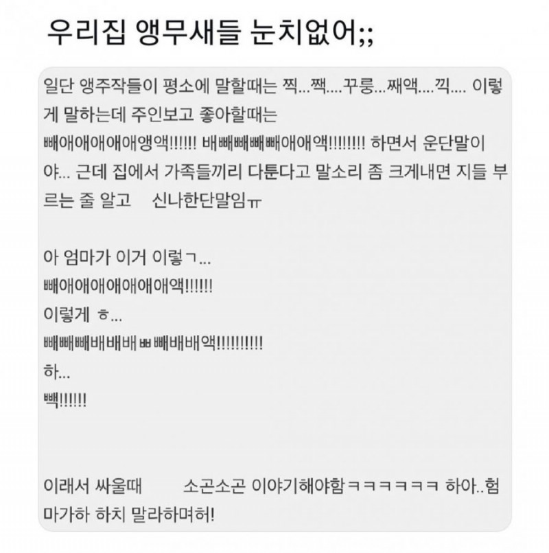 달팽이 분석과 실시간패턴통계