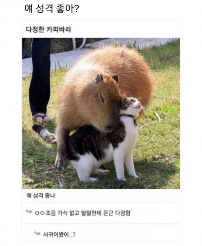 실시간게임