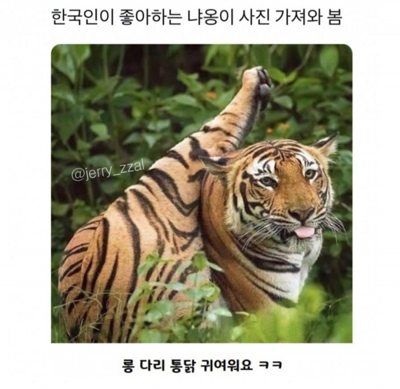 달팽이 분석과 실시간패턴통계