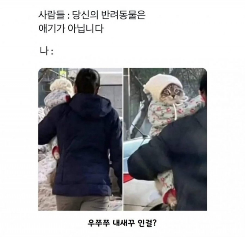 파워볼게임픽분석