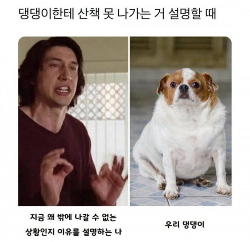 달팽이게임픽분석