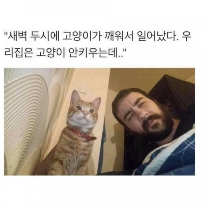 달팽이게임