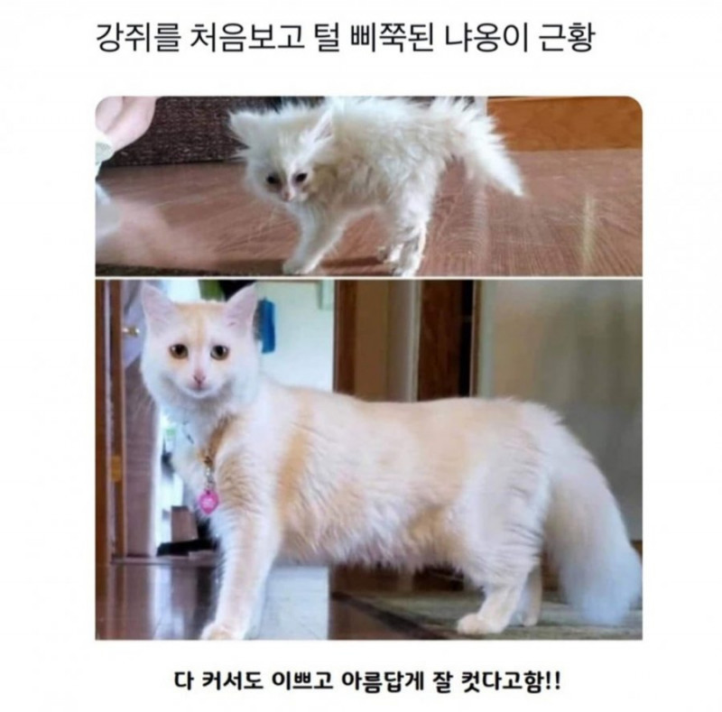 달팽이게임통계