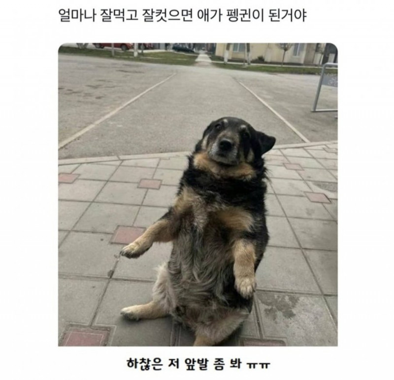 사다리게임