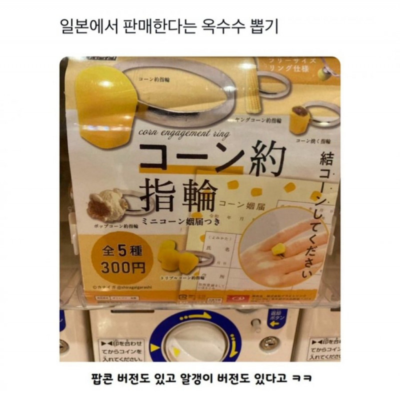 파워볼게임픽