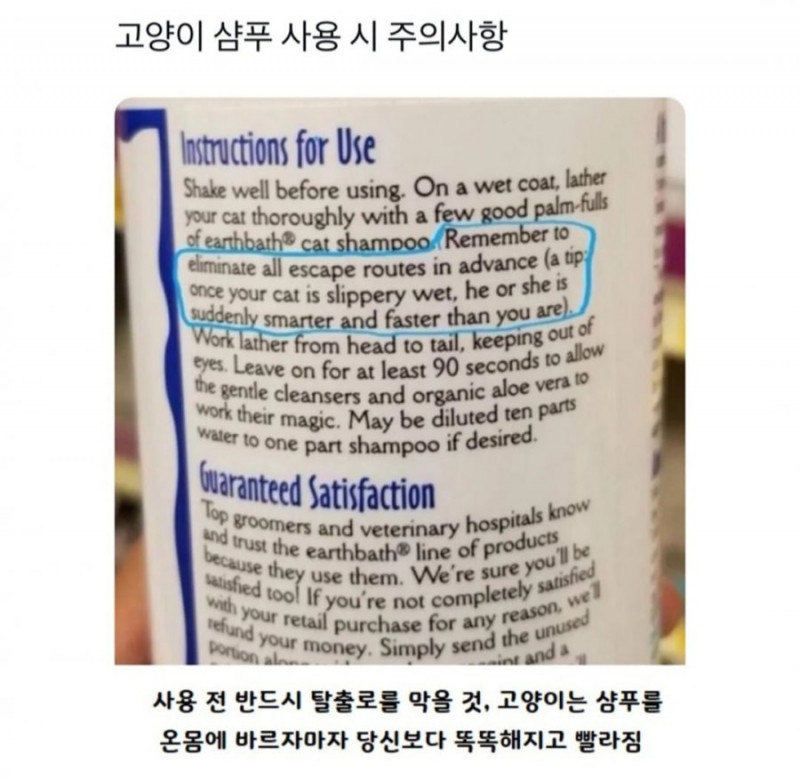 달팽이게임픽