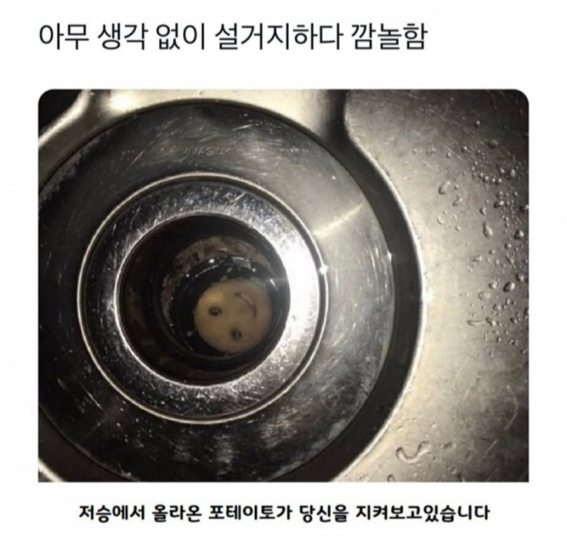 사다리게임분석