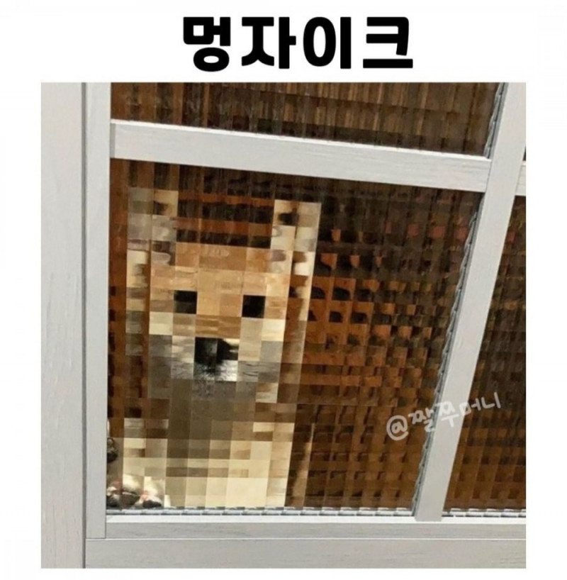 실시간달팽이