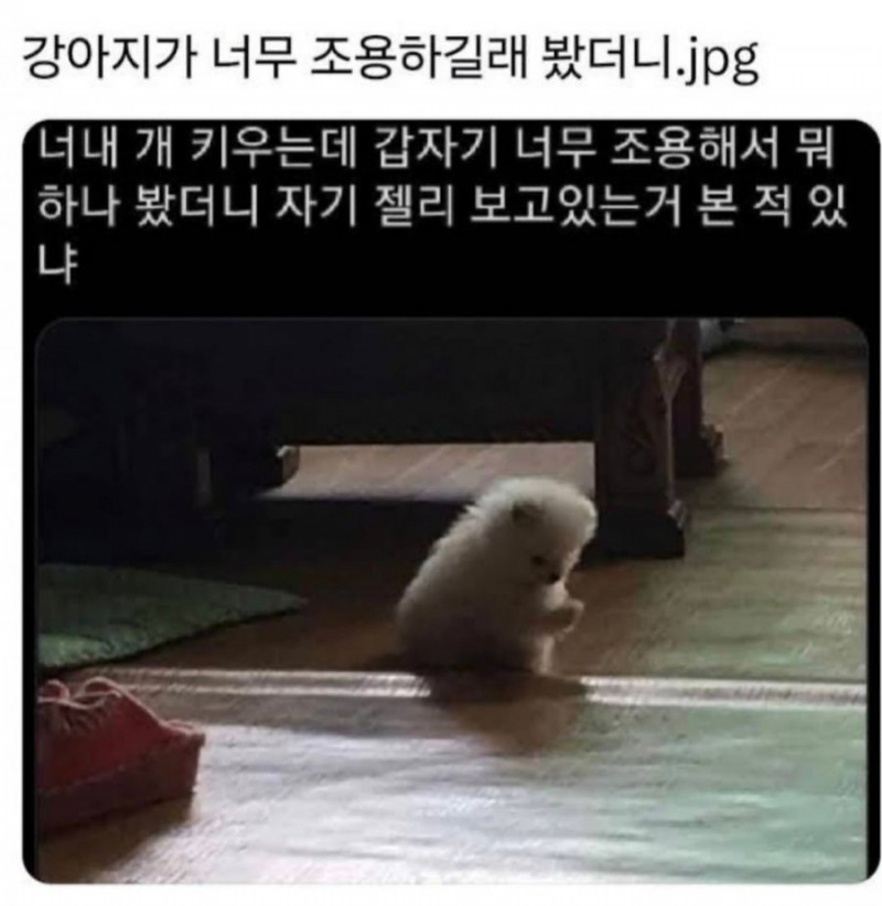 달팽이게임통계